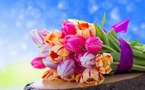 какие цветы подарить на 8 марта?